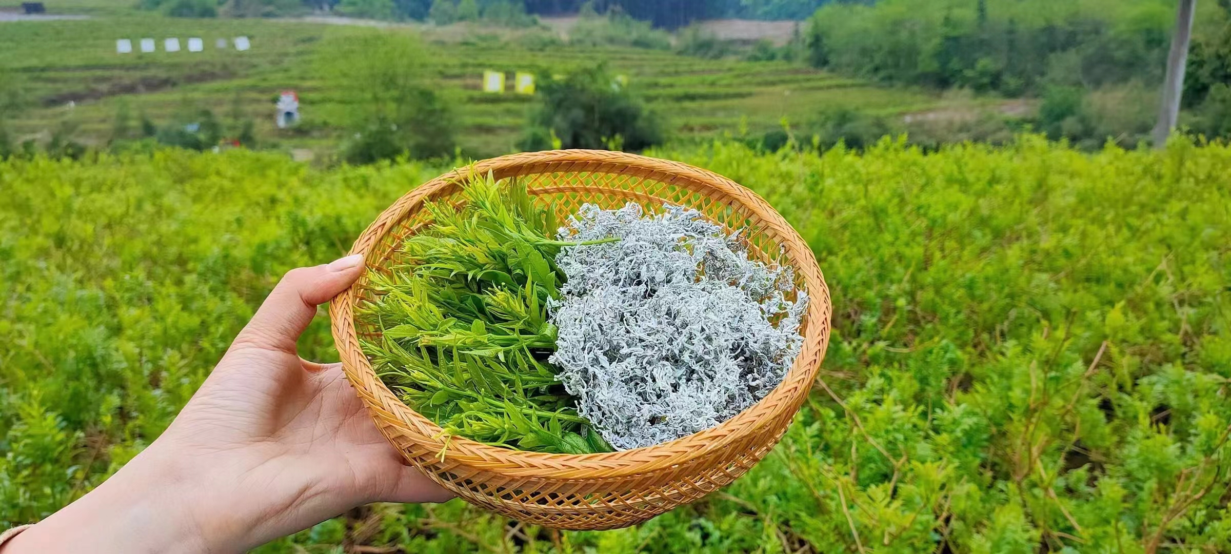 微信圖片_20240607104420 微信圖片_20240607104420